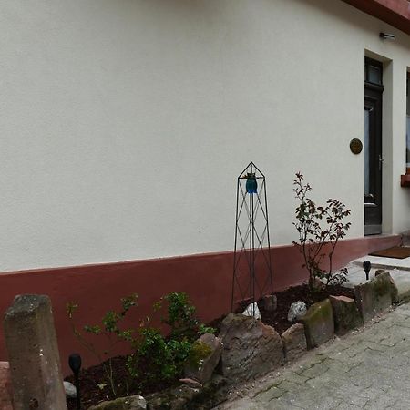 Le Gite Des Sources: Nature, Randonnees, Detente. Oberbronn 外观 照片