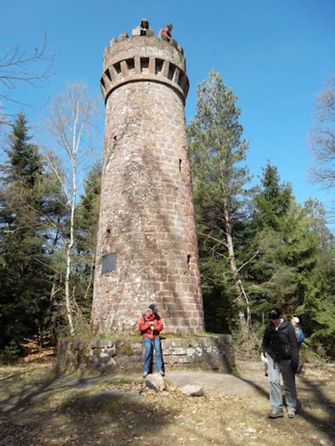 Le Gite Des Sources: Nature, Randonnees, Detente. Oberbronn 外观 照片